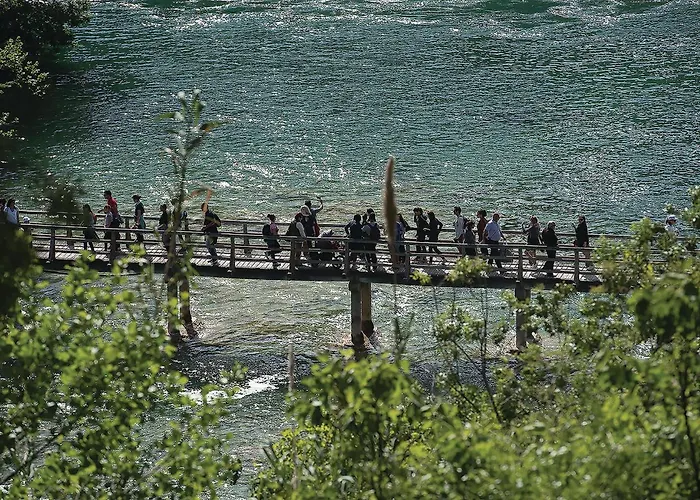 4 Bedroom Stunning In *